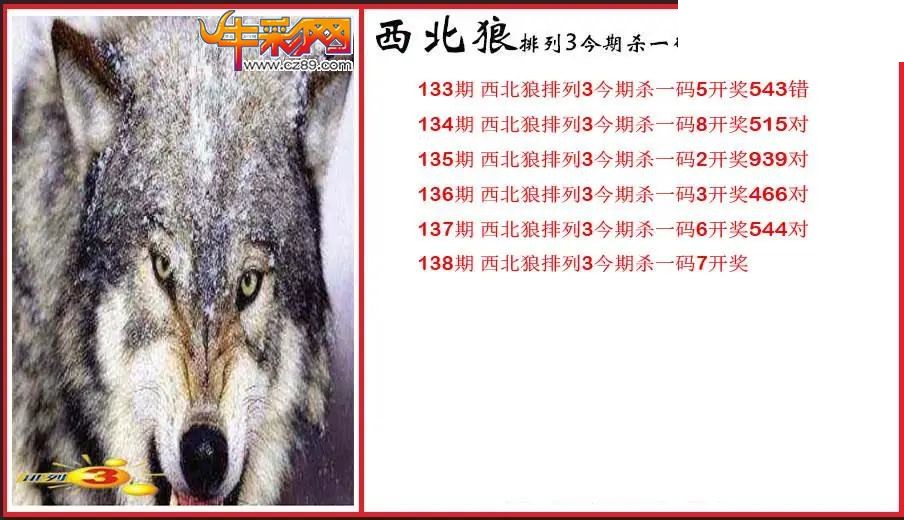 2026138期P3西北狼杀一码图