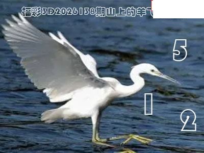福彩3D2026138期 山上的羊飞鸟胆码图