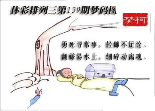 体彩P32026年139期 梦码图