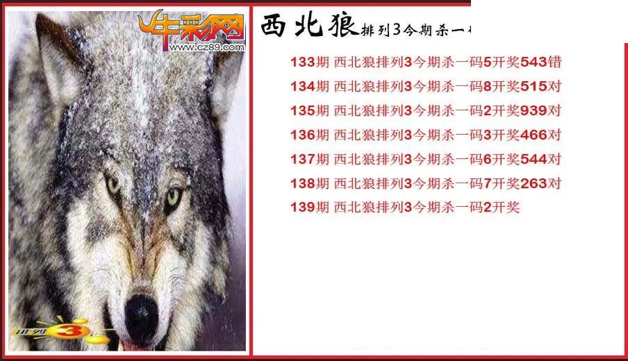 2026139期P3西北狼杀一码图