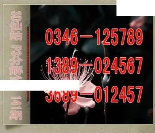 仙姑分解式26年141期体彩P3图谜