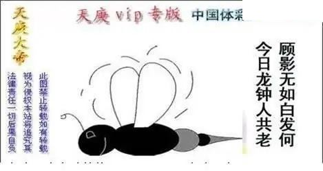 体彩P32026年141期 天庚大帝图谜