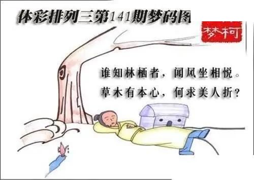 体彩P32026年141期 梦码图
