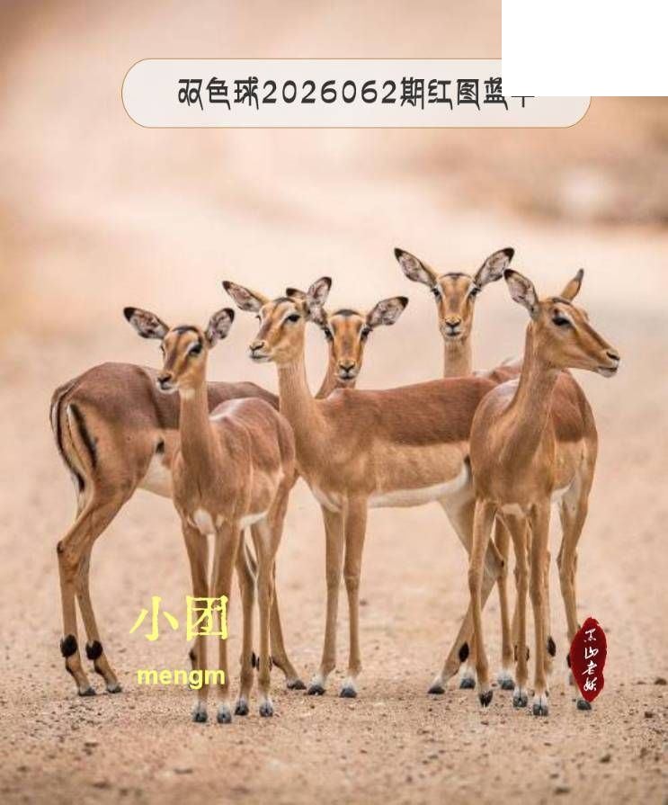 双色球2026年图迷062期 MENGM 红图蓝字