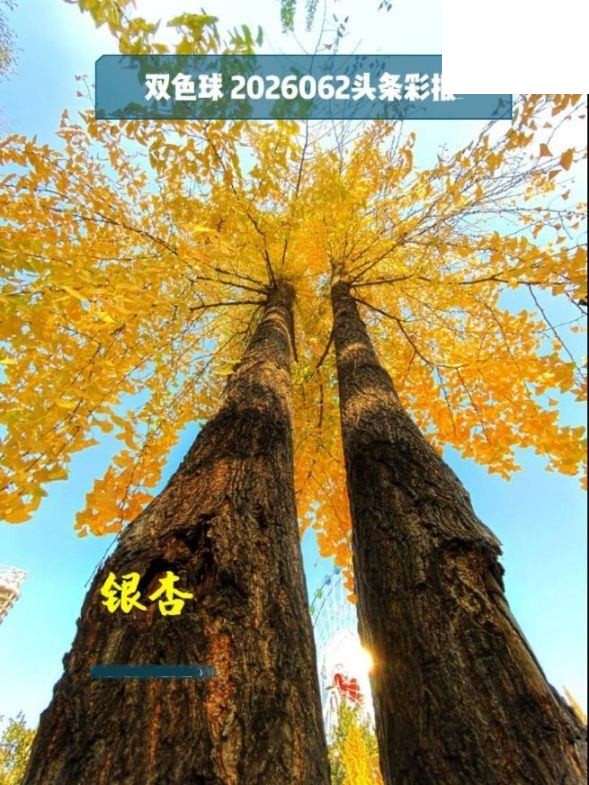 双色球2026年图迷062期 头条彩报