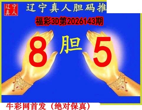 辽宁真人一句定码143期3D图谜