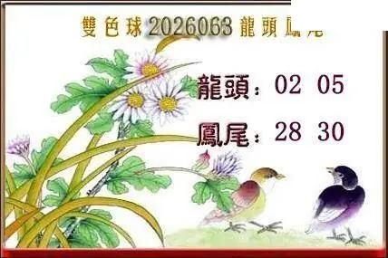 天吉鸟语断蓝26年063期双色球系列图