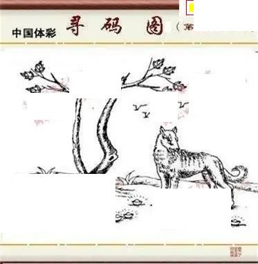体彩P32026年145期 5188系列全图谜