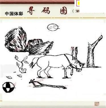 体彩P32026年146期 5188系列全图谜