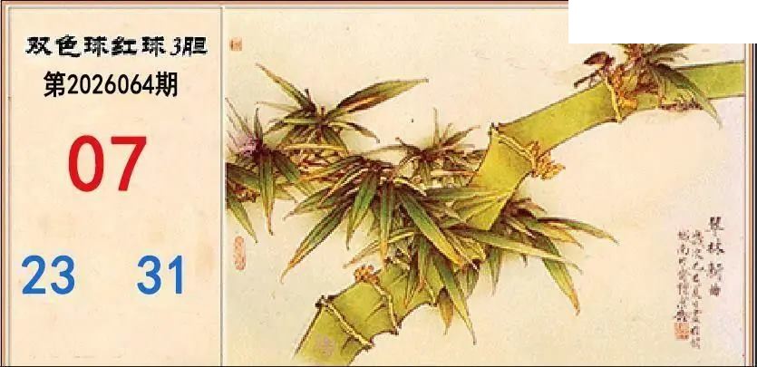 翠竹红球三胆26年064期双色球图谜