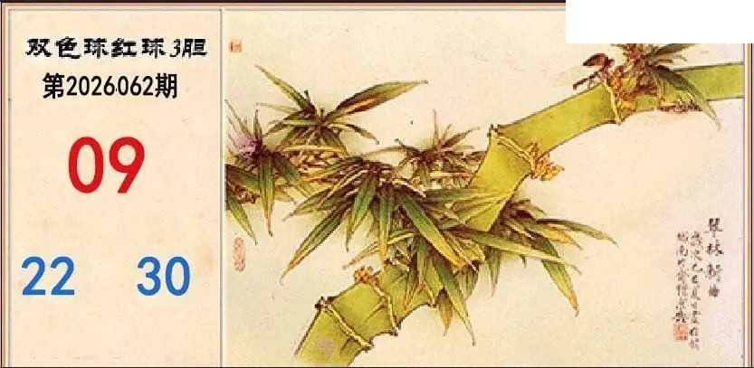 翠竹红球三胆26年062期双色球图谜