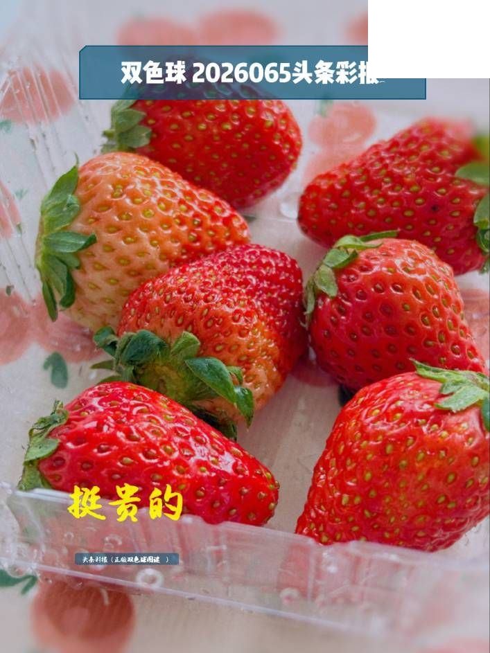 双色球2026年图迷065期 头条彩报