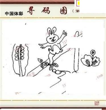 体彩P32026年150期 5188系列全图谜