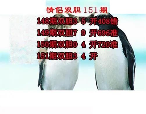 情侣双胆2026151期3d图谜