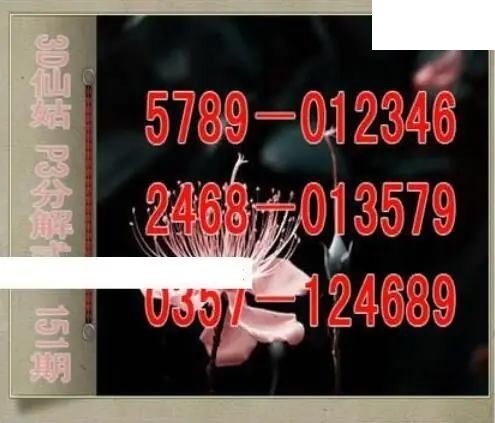 仙姑分解式26年151期体彩P3图谜