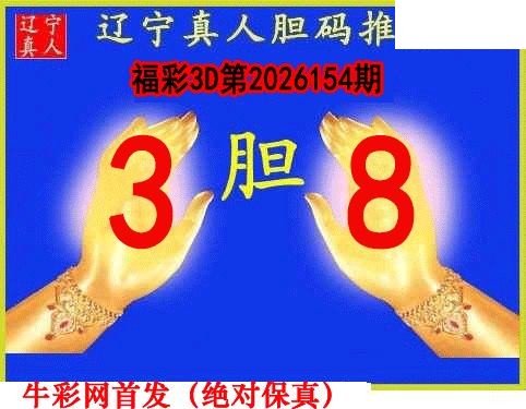 辽宁真人一句定码154期3D图谜
