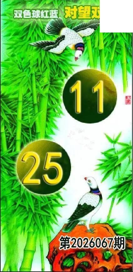 对望双胆26年067期双色球图谜红蓝