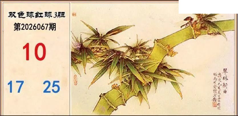 翠竹红球三胆26年067期双色球图谜