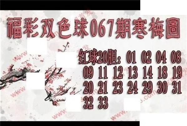 福彩双色球2026年067期寒梅图谜