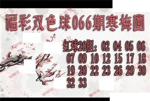 福彩双色球2026年066期寒梅图谜