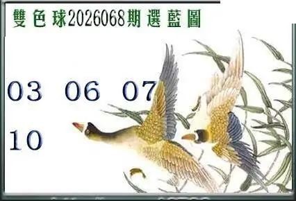 天吉鸟语断蓝26年068期双色球系列图