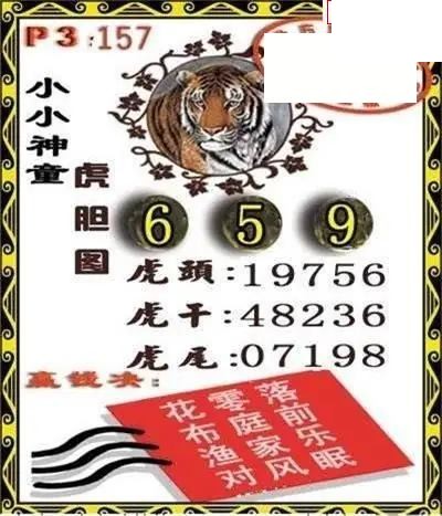 体彩P32026年157期 小小神童虎胆图