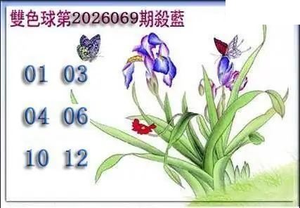 天吉鸟语断蓝26年069期双色球系列图