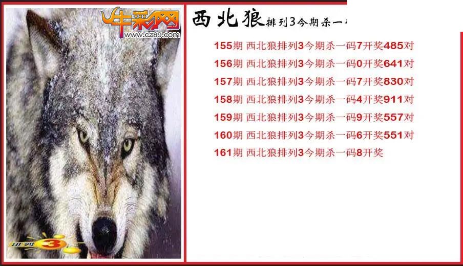 2026161期P3西北狼杀一码图