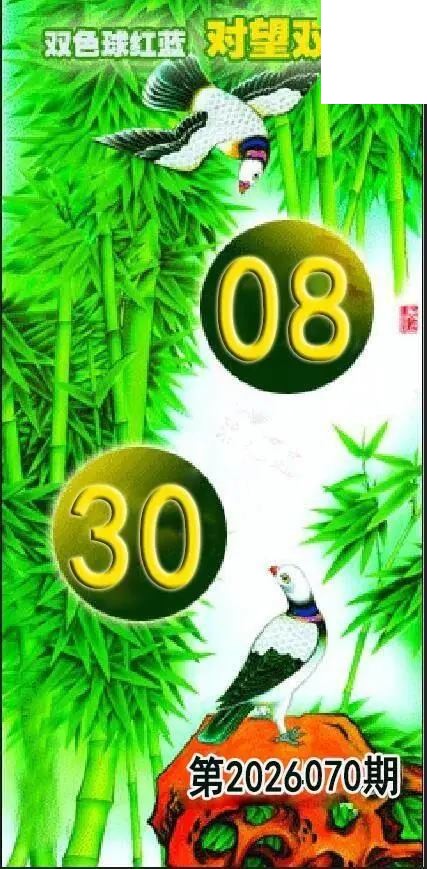 对望双胆26年070期双色球图谜红蓝
