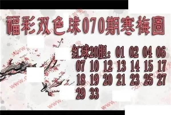 福彩双色球2026年070期寒梅图谜