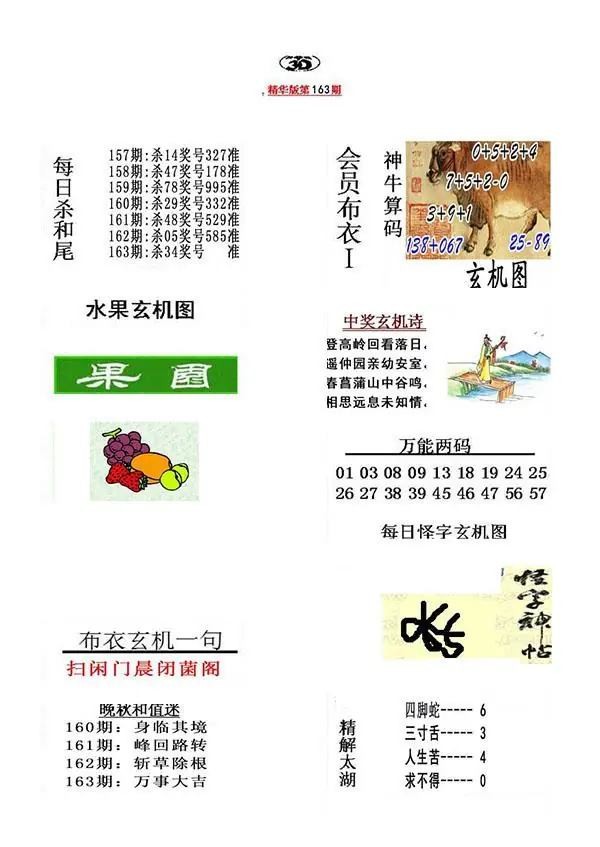 真精华布衣报2026163期3d图谜
