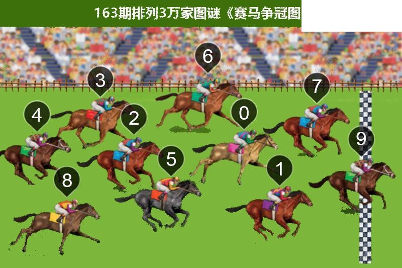 2026163期排列三 赛马争冠图