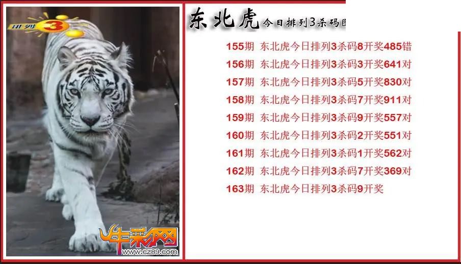2026163期P3东北虎通杀一码图