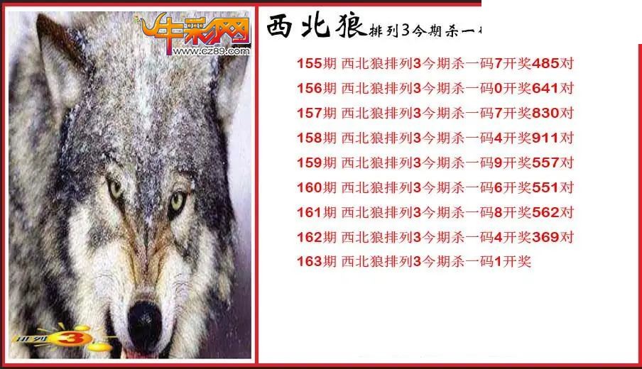 2026163期P3西北狼杀一码图