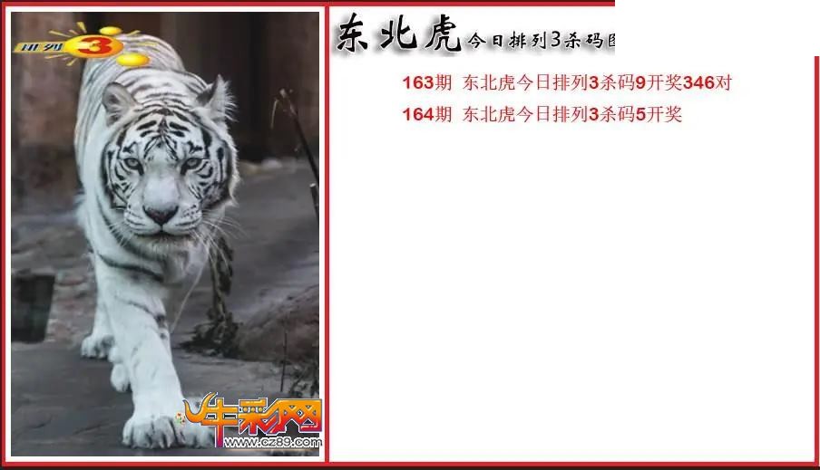 2026164期P3东北虎通杀一码图