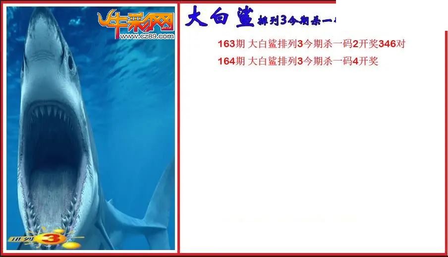 2026164期P3大白鲨今期杀一码图