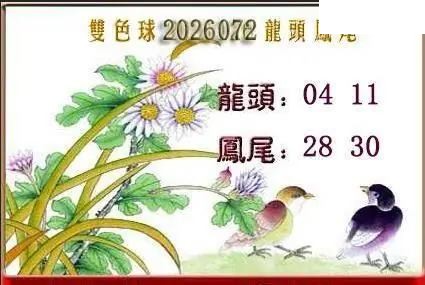 天吉鸟语断蓝26年072期双色球系列图