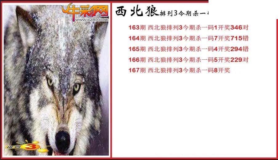 2026167期P3西北狼杀一码图
