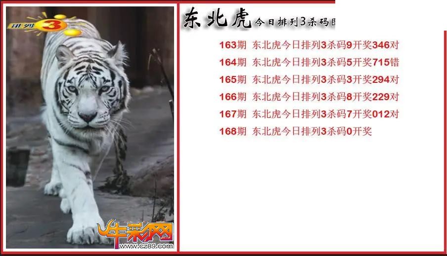 2026168期P3东北虎通杀一码图