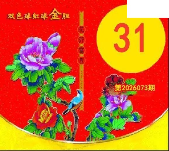 红球金胆26年073期双色球图谜