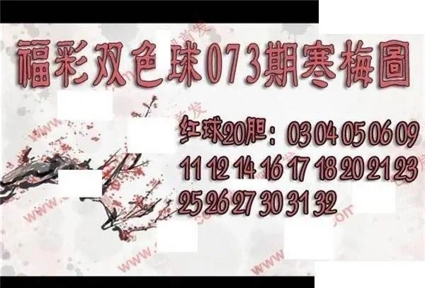 福彩双色球2026年073期寒梅图谜