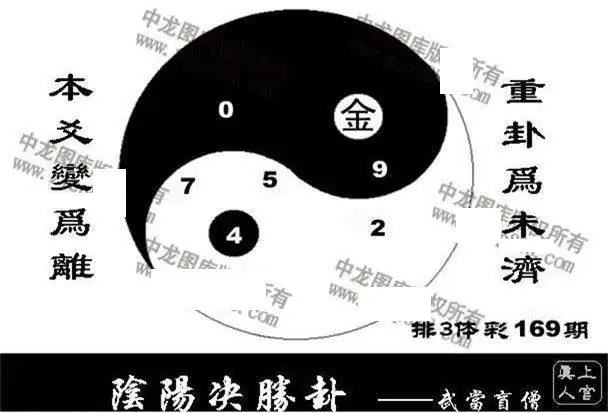 体彩P32026年169期 中龙系列全图
