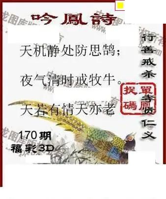 2026170期3d图迷汇总（三）