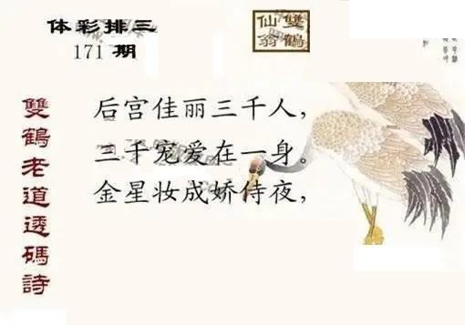 体彩P32026年171期 中龙系列全图