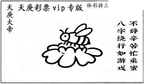 正版天庚26年171期体彩p3图迷