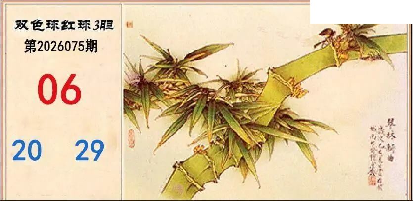 2026年075期双色球字迷图谜汇总