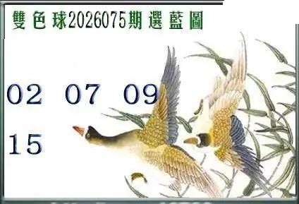 天吉鸟语断蓝26年075期双色球系列图