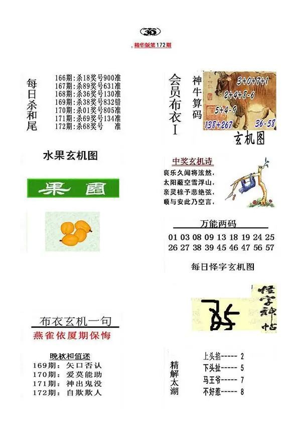 真精华布衣报2026172期3d图谜