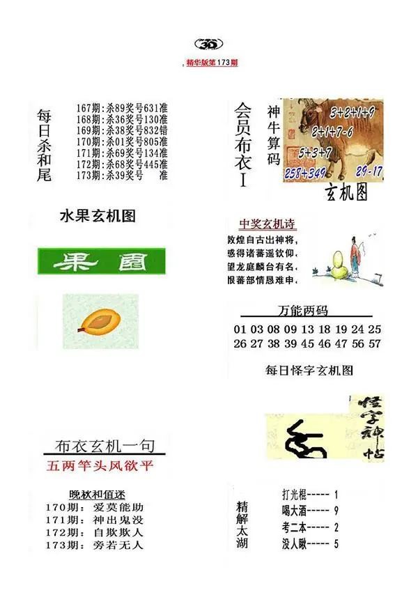 真精华布衣报2026173期3d图谜