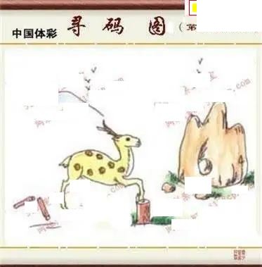 体彩P32026年176期 5188系列全图谜